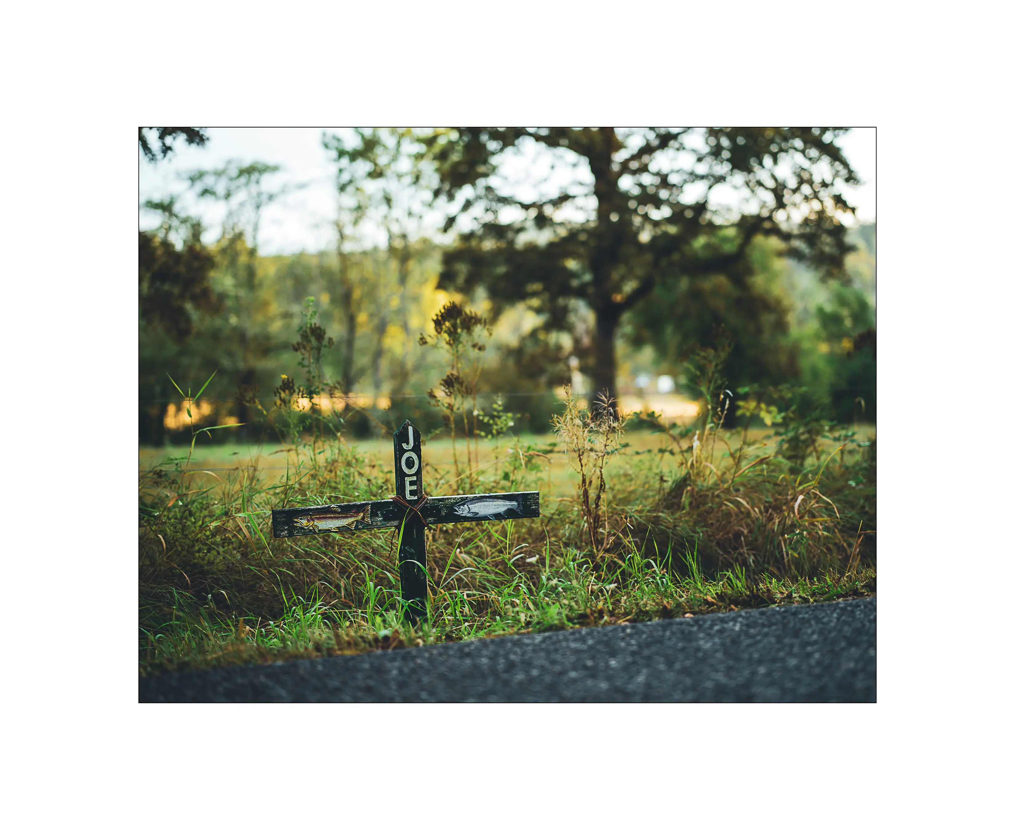 I Go Out Seeking Death