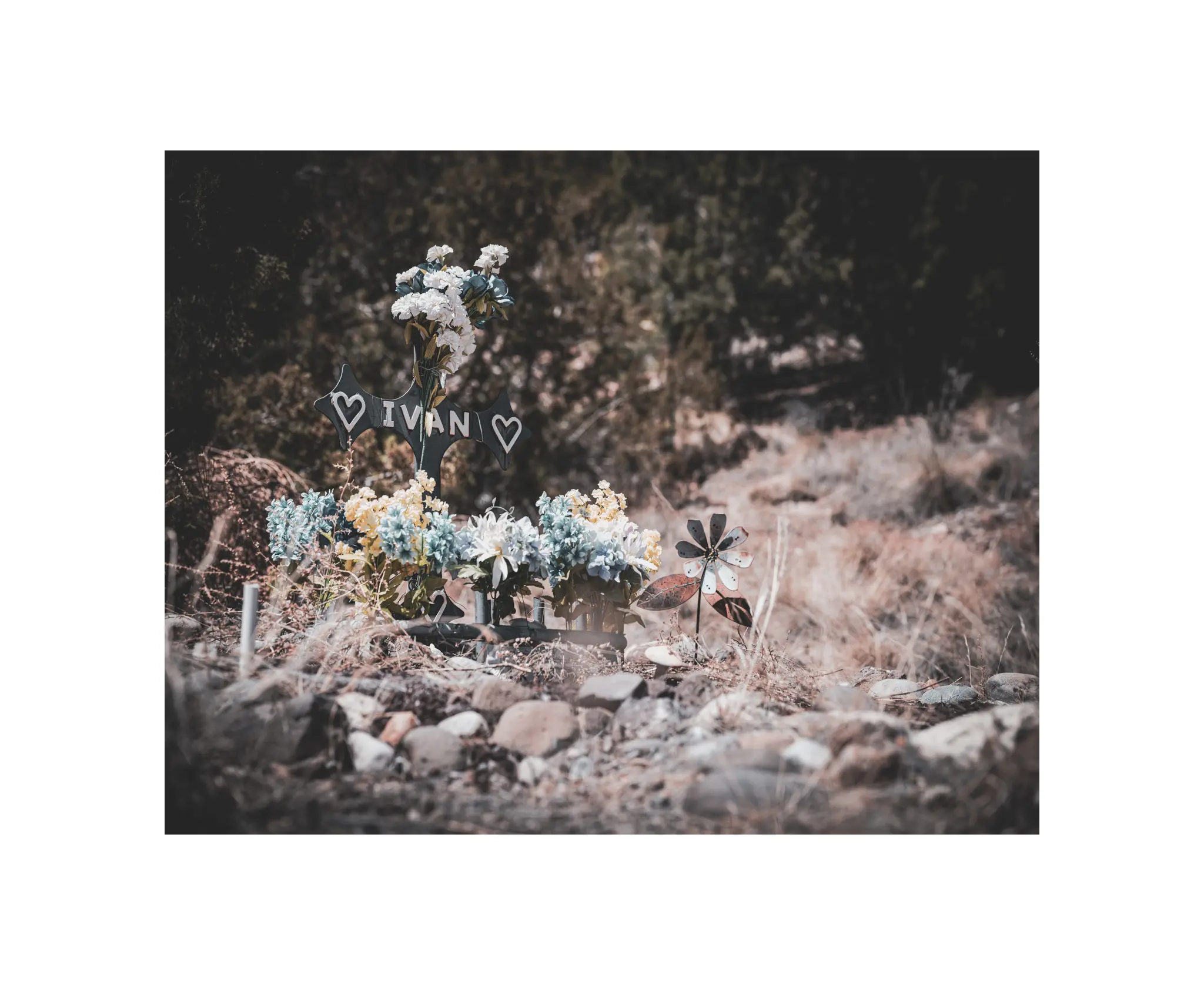 Ivan and the Best Dad