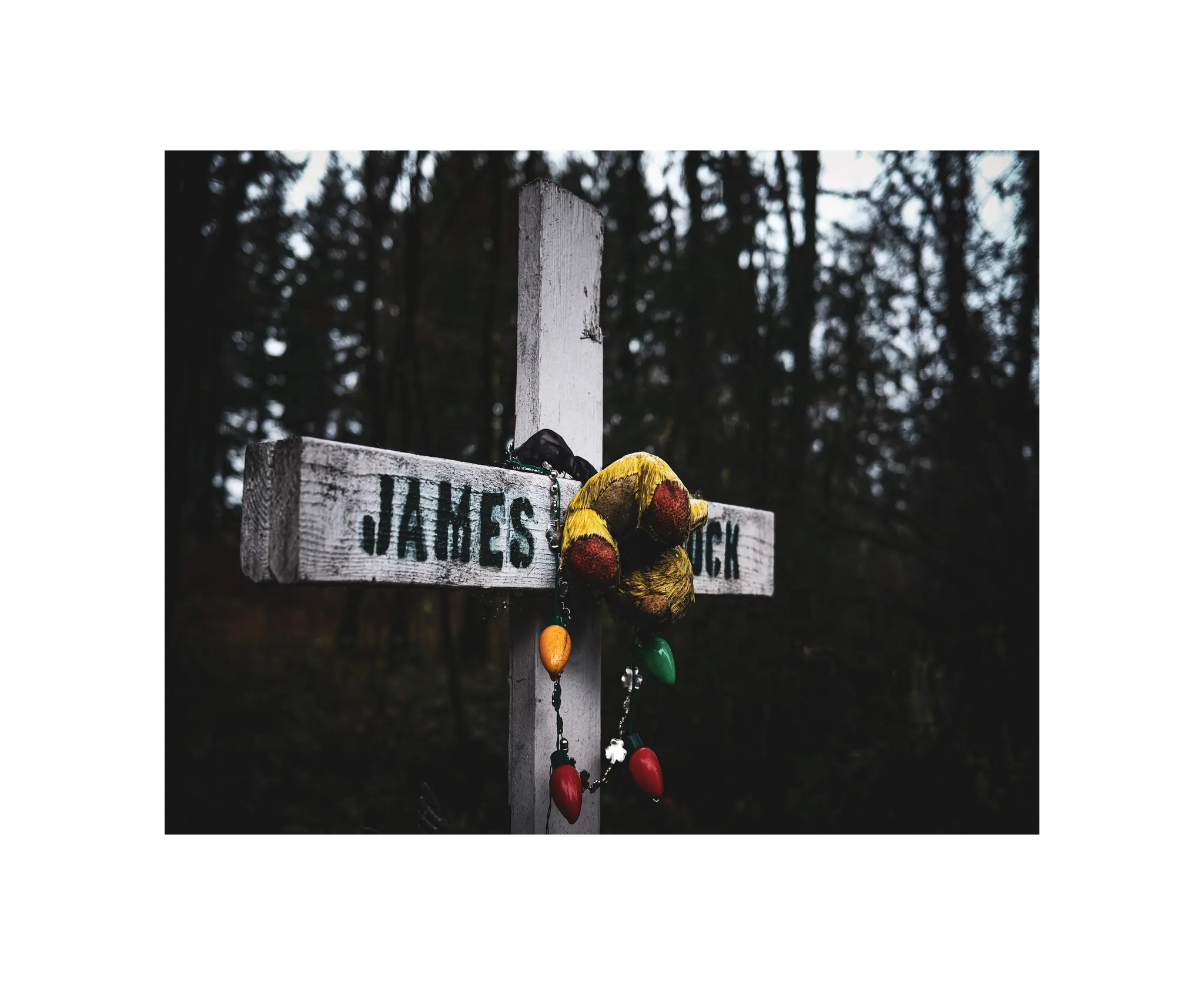 James Duck